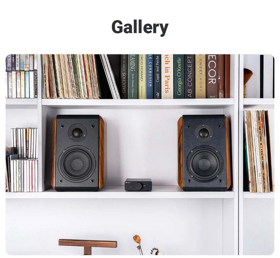 Fosi Audio V3 300W×2 Mini Stereo Power Amplifier